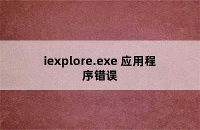 iexplore.exe 应用程序错误